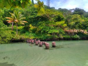 Caño Frío en Playa Rincón