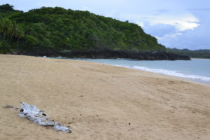 Playa Morón